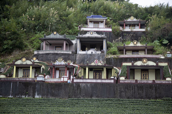 Traditional graves overlooking a tea plantation | Campos de te de Pinglin | Taiwán