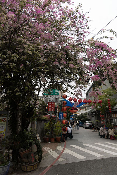 Photo de One of the small streets of Tainan with blossoming treesTainan - Taiwan