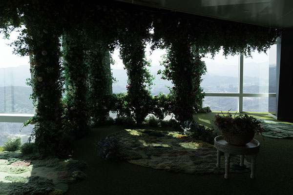 Picture of Seats with vegetation for photo opportunities for visitorsTaipei - Taiwan