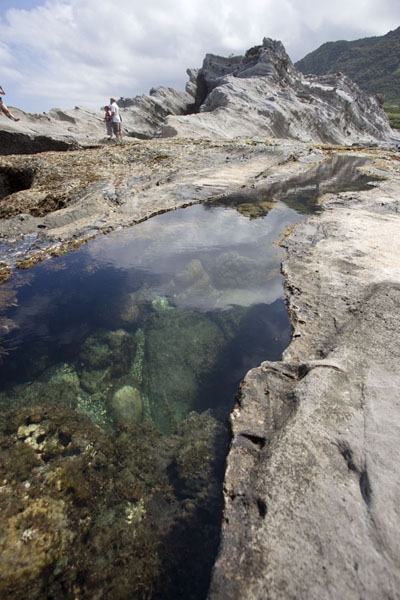 Photo de Rock formations and coral in natural pools at Shihtiping - Taiwan - Asie