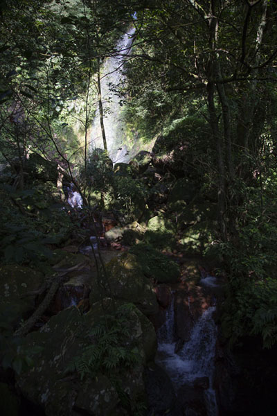 Foto van Juansi waterfall seen through the foliage of treesYangmingshan National Park - Taiwan