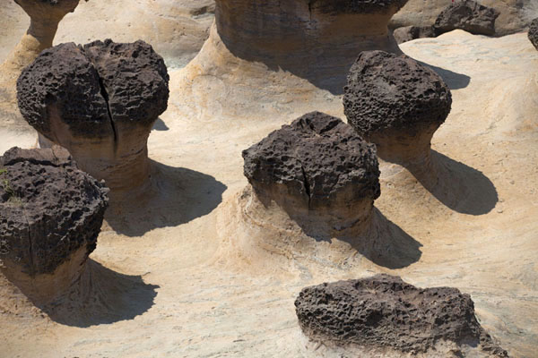 Picture of Yeliu geopark (Taiwan): Field of mushroom rock formations