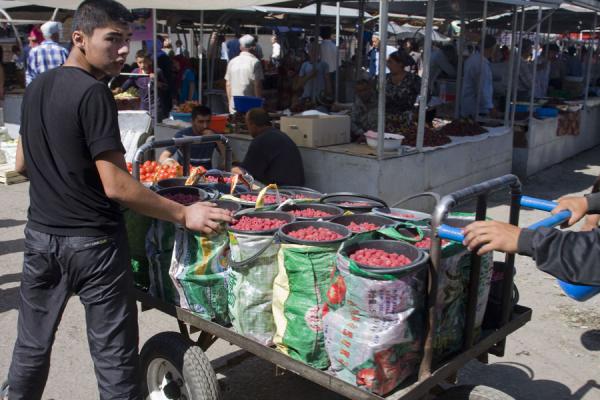 Getting fruit to the market of Istaravshan | Istaravshan Bazaar | Tajikistan