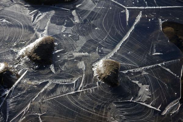 Early morning ice formation on a brook in Keng Shiber | Keng Shiber | Tayikistán