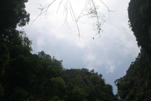 Picture of Steep cliffs inside Emerald Cave seen from below