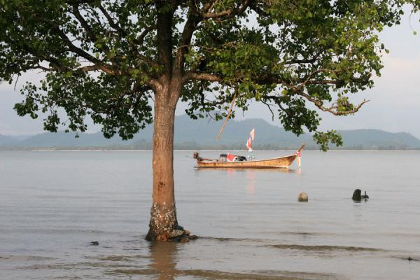 Picture of Ko Mook: fisherboat and tree in the sea