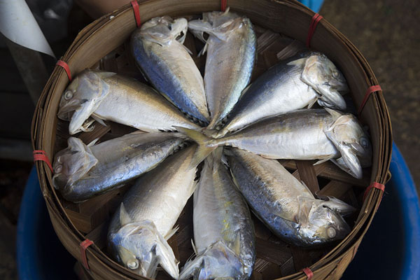 Picture of Nonthaburi market (Thailand): Fish decoratively laid down in a small basket