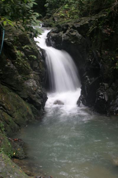 Picture of Raman Forest: one of the many tiny waterfalls