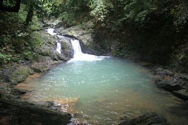Picture of Raman Forest: small waterfall and pool