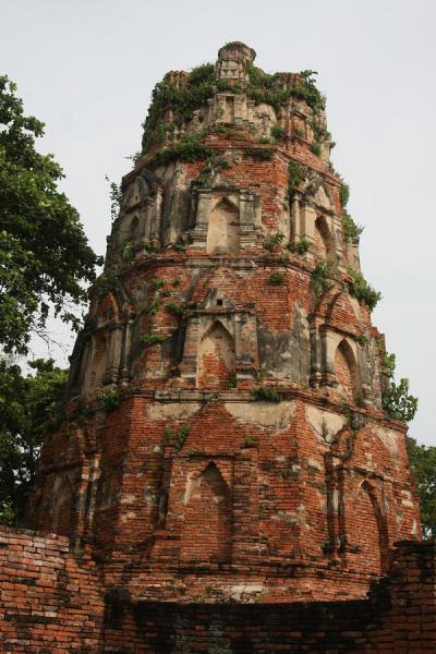 One of the stupas of Wahathat ruins | Wat Phra Mahathat | Thailand