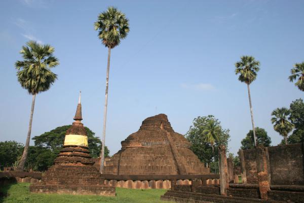 Old chedi with palm trees at Wat Phra Si Rattana Mahathat Chaliang | Si Satchanalai | Thailande