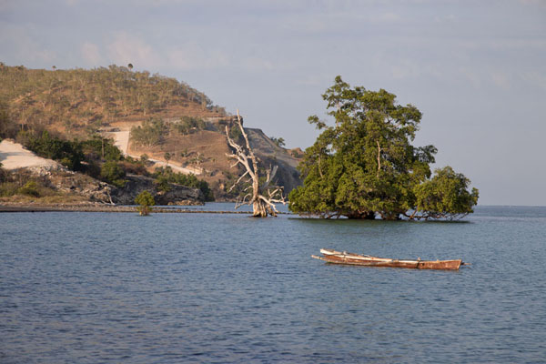 Foto van Oost Timor (Landscape at the eastern coast of Atauro with boat and partially submerged tree)