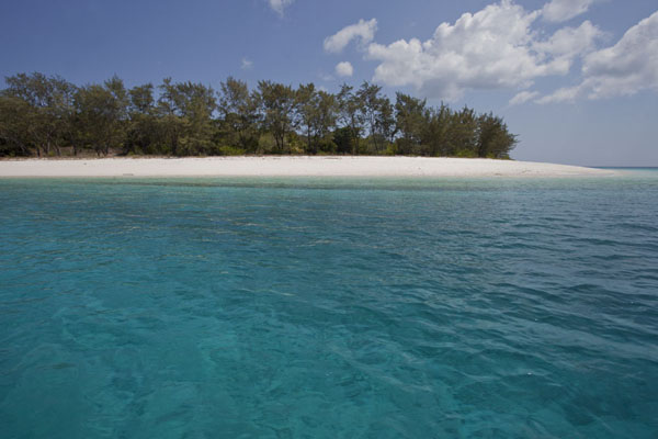 Picture of Strip of sand between sea and treesJaco island - Timor-Leste