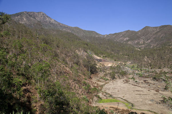 Picture of Open space in Hatobuilico with the summit of Mount Ramelau on the leftRamelau - Timor-Leste