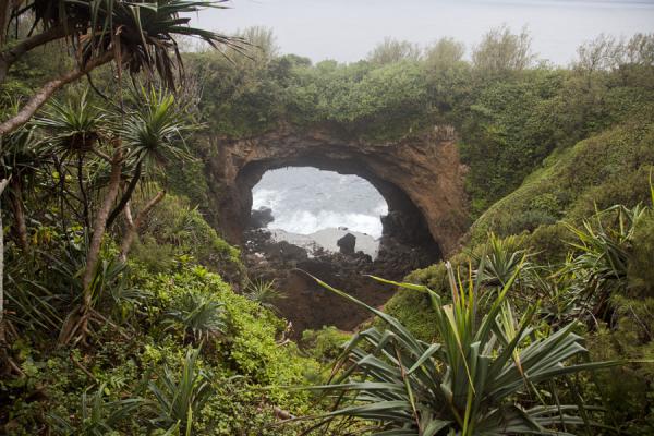 Photo de Tonga (Waves crashing on the rocky shore below the enormous natural bridge in the southeast of 'Eua)