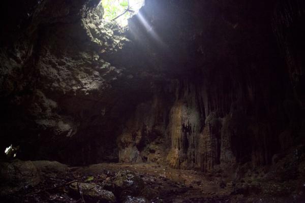 Picture of One of the many caves on 'Eua island'Eua - Tonga