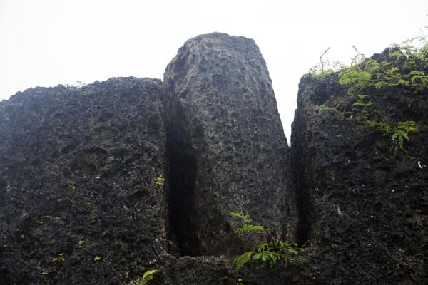 Picture of Ha'amonga 'a Maui Trilithon (Tonga): Detailed view of the top of the trilithon with massive lintel