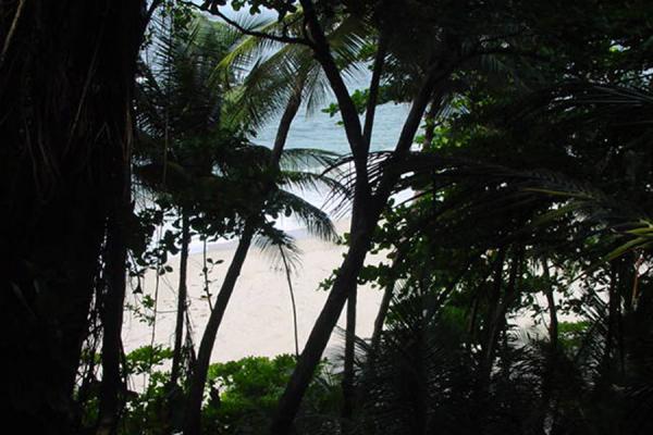 Getting to the beach | Bahía Paria | Trinidad & Tobago