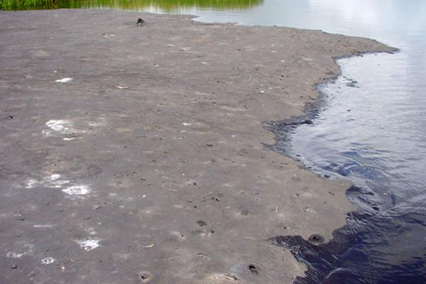 Asphalt everywhere | Pitch Lake | Trinidad & Tobago
