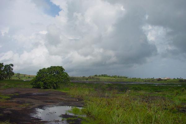 Foto di General view of the lakeTrinidad - Trinidad & Tobago