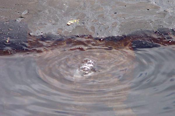 Gasses bubbling up from below | Pitch Lake | Trinidad & Tobago