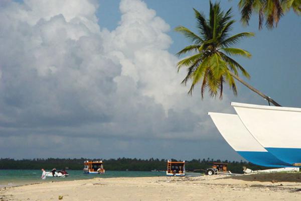 Foto di Boats, palm trees and sand at Pigeon Point Beach - Trinidad & Tobago - America