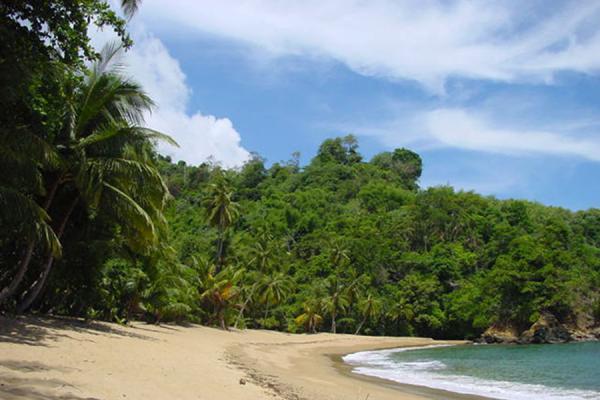 Picture of Englishman's Bay Beach, Tobago - Trinidad & Tobago - Americas