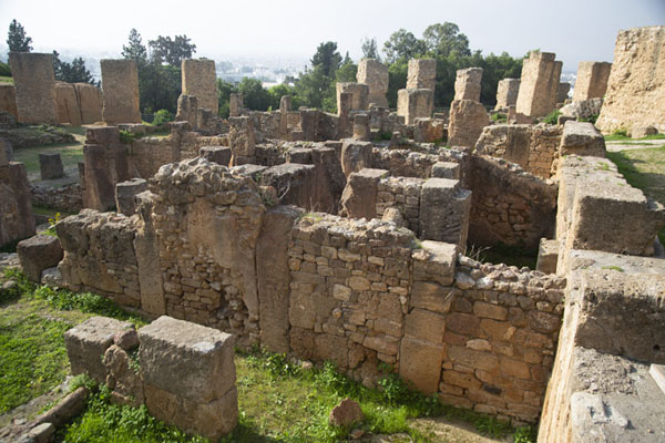 Picture of Punic Carthage (Tunisia): Overview of the Punic quarter of Carthage