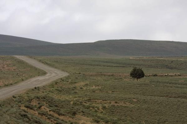 Photo de Empty road and lonely tree near Nokhur - Turkménistan - Asie