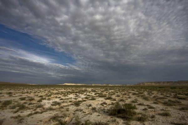 Picture of Yangykala Canyon & Gozli Ata (Turkmenistan): Clouds over the dry plains of the Yangykala Canyon in the early morning
