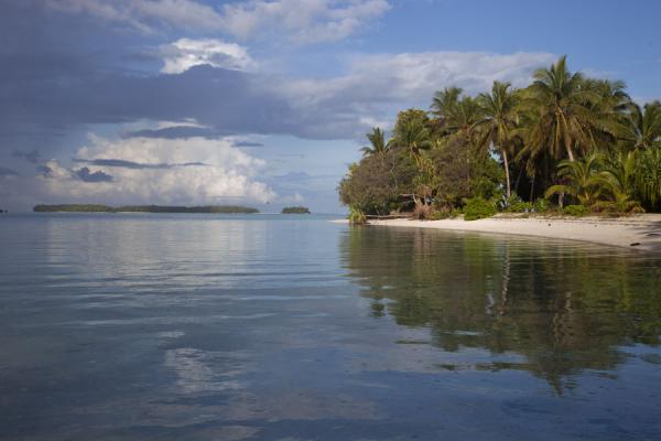 Picture of Funafala islet (Tuvalu): Palm trees above beach reflected in the quiet waters of the lagoon at Funafala islet