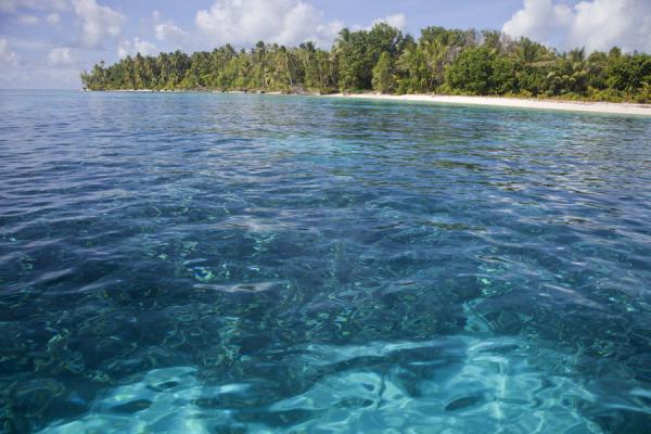 Picture of Tepuka islet (Tuvalu): Tepuka islet with coral shining through the transparent waters of the Pacific