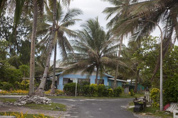 Picture of Vaiaku Town (Tuvalu): One of the streets of Vaiaku