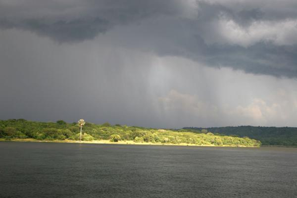 Picture of Showers in a grey sky with palm tree and bank of Victoria Nile in sunlight