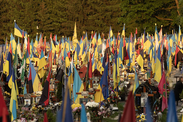Foto van A multitude of flags at the new addition of Lychakiv cemeteryIndrukken van Lviv - Oekraïne