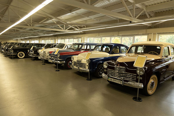Row of cars and limousines in the private collection of the former president | Palacio Mezhyhirya | Ucrania