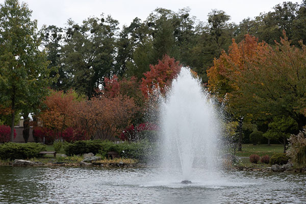 Fountain in lake with autumn colours in trees in the background | Palacio Mezhyhirya | Ucrania