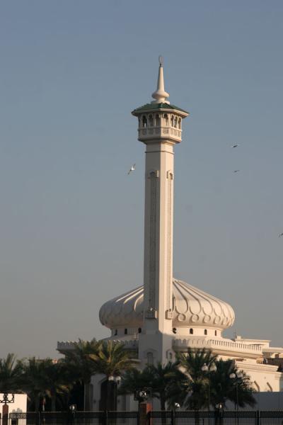 Picture of Dubai mosques (United Arab Emirates): Grand mosque and minaret in Bur Dubai seen from Deira