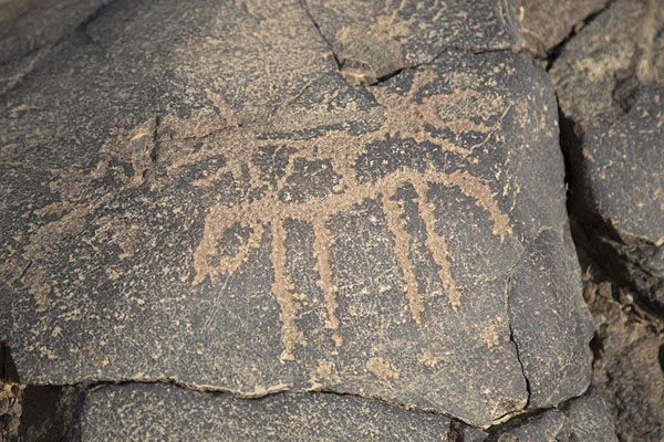 Animal depicted in a petroglyph in Nahwa counter enclave | Madha Nahwa Enclave | Verenigde Arabische Emiraten