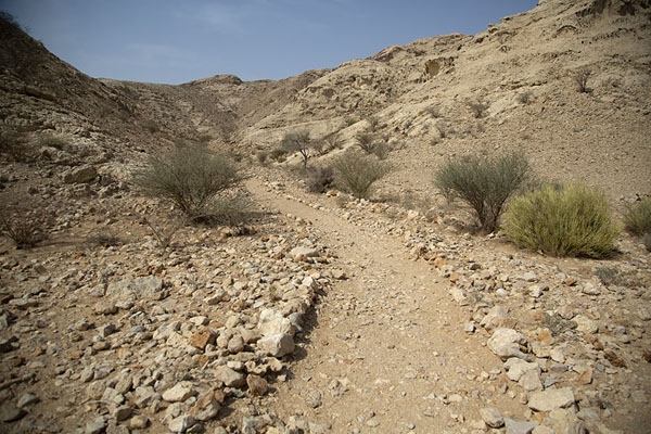 Trail leading to the wadi caves | Centro arqueológico de Mleiha | Emiratos Arabes Unidos