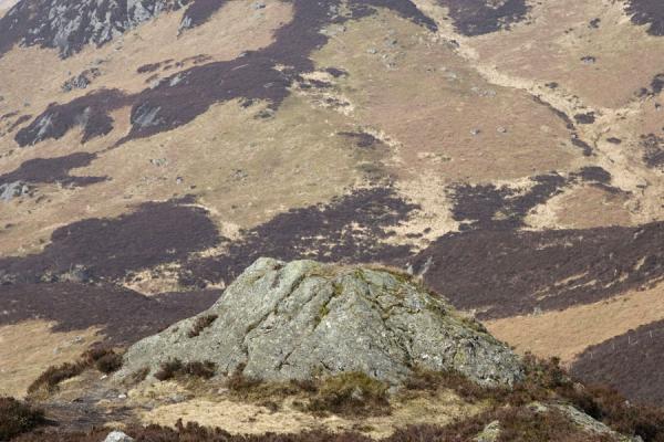 Picture of Ben A'an (United Kingdom): Trossachs: grey rock standing out in the landscape of Ben A'an