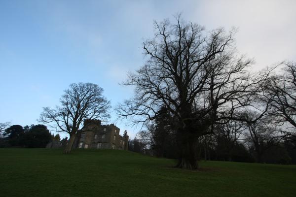 Picture of Balloch Castle and trees near Loch Lomond