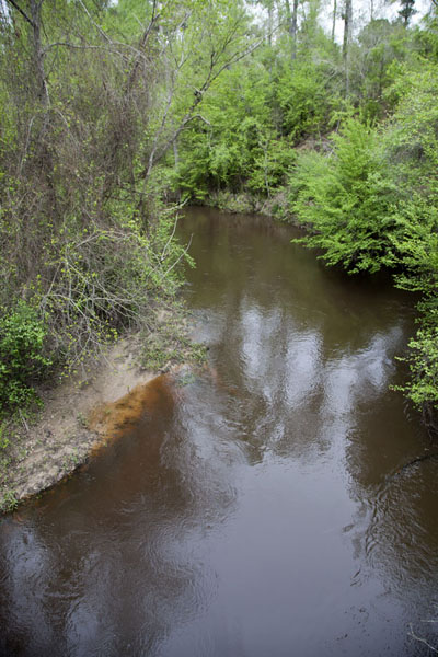 Picture of Creek you need to cross to walk the Sandhill Loop Trail