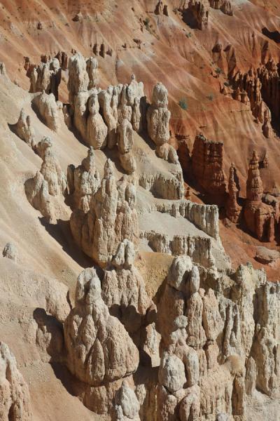 Picture of White hoodoos at the edge of Bryce Canyon