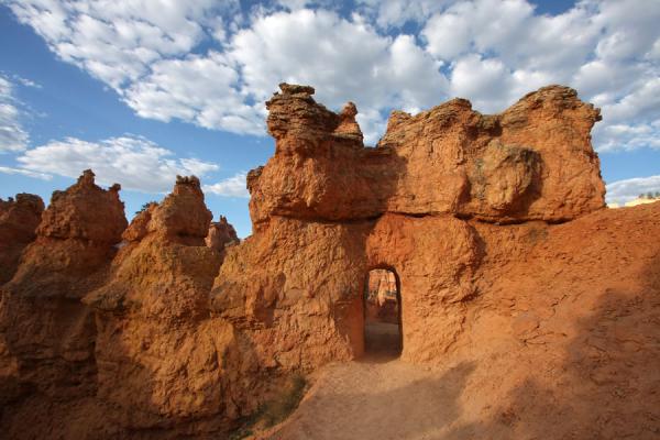 Picture of Bryce Canyon National Park (United States): Queens Garden Trail leading through a tunnel under a hoodoo formation