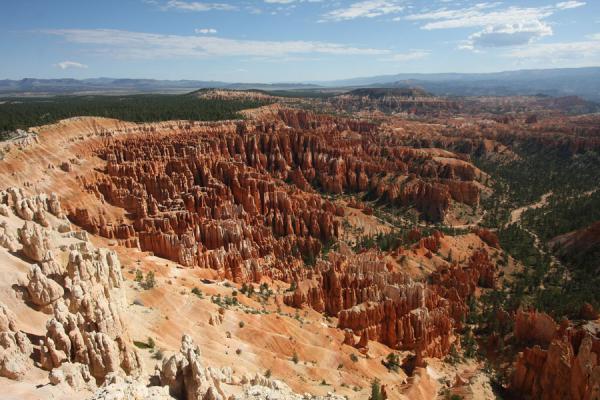 Overview of the Bryce Canyon amphitheatre | Bryce Canyon National Park | United States