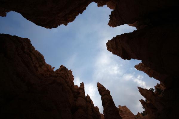 Looking up from Wall Street | Bryce Canyon National Park | United States