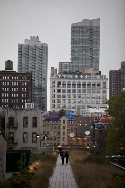Picture of Buildings towering above the High Line