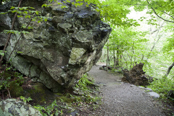 Picture of Lower section of Whiteoak Canyon Trail with overhanging rocks
