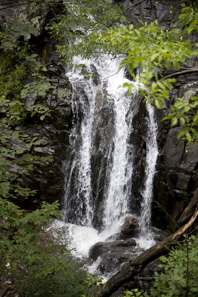 Picture of Shenandoah National Park (United States): One of the six falls on the Whiteoak Canyon trail